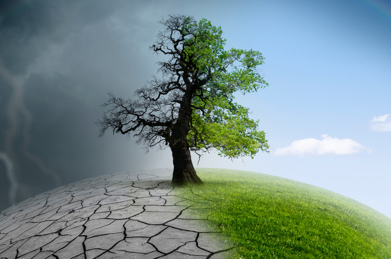 Frente fria encerra veranico e muda clima a partir desta terça (26)